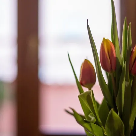 Semesterbostad Colombohouse87 *