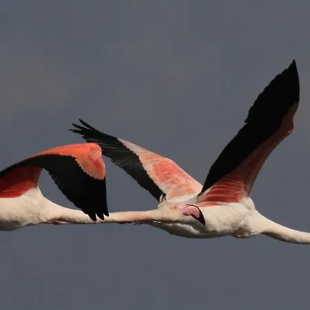 Colombohouse87 בית נופש