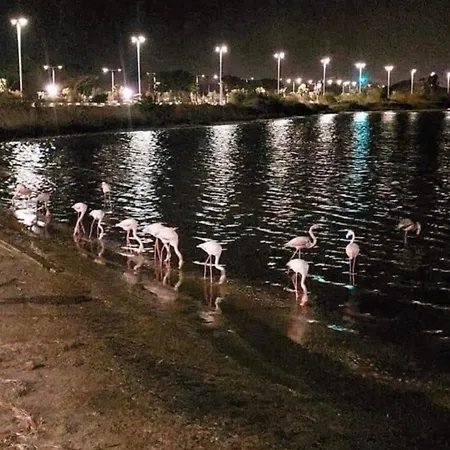 Colombohouse87 בית נופש *